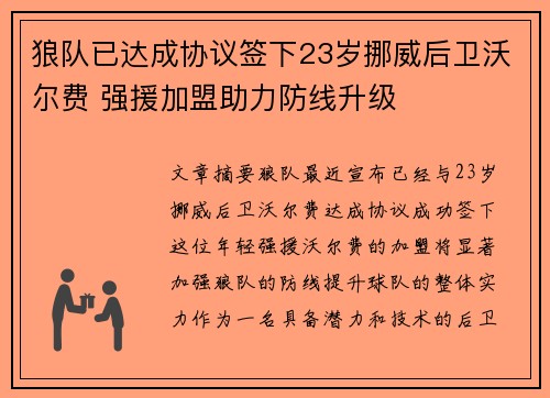 狼队已达成协议签下23岁挪威后卫沃尔费 强援加盟助力防线升级